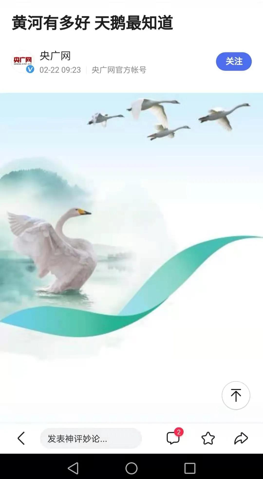 白天鹅为河南生态环境代言