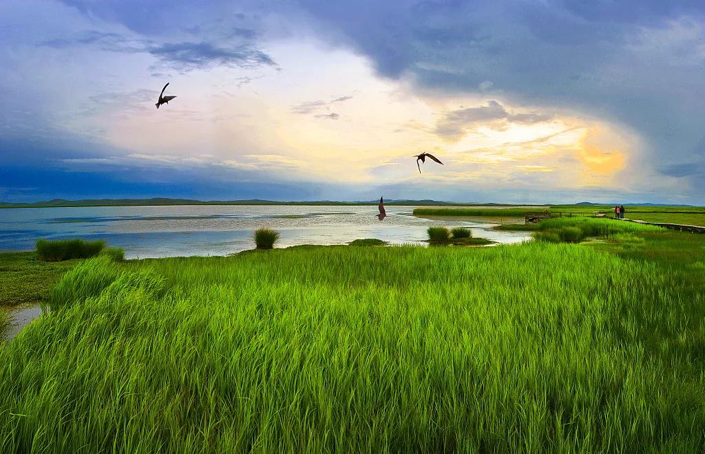 世界湿地日|珍爱湿地 人与自然和谐共生