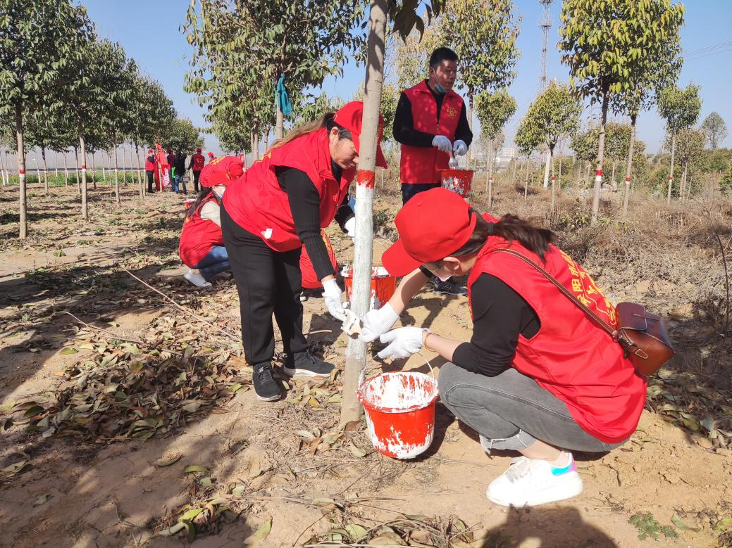 安阳市应急管理局开展2023年义务植树志愿服务活动