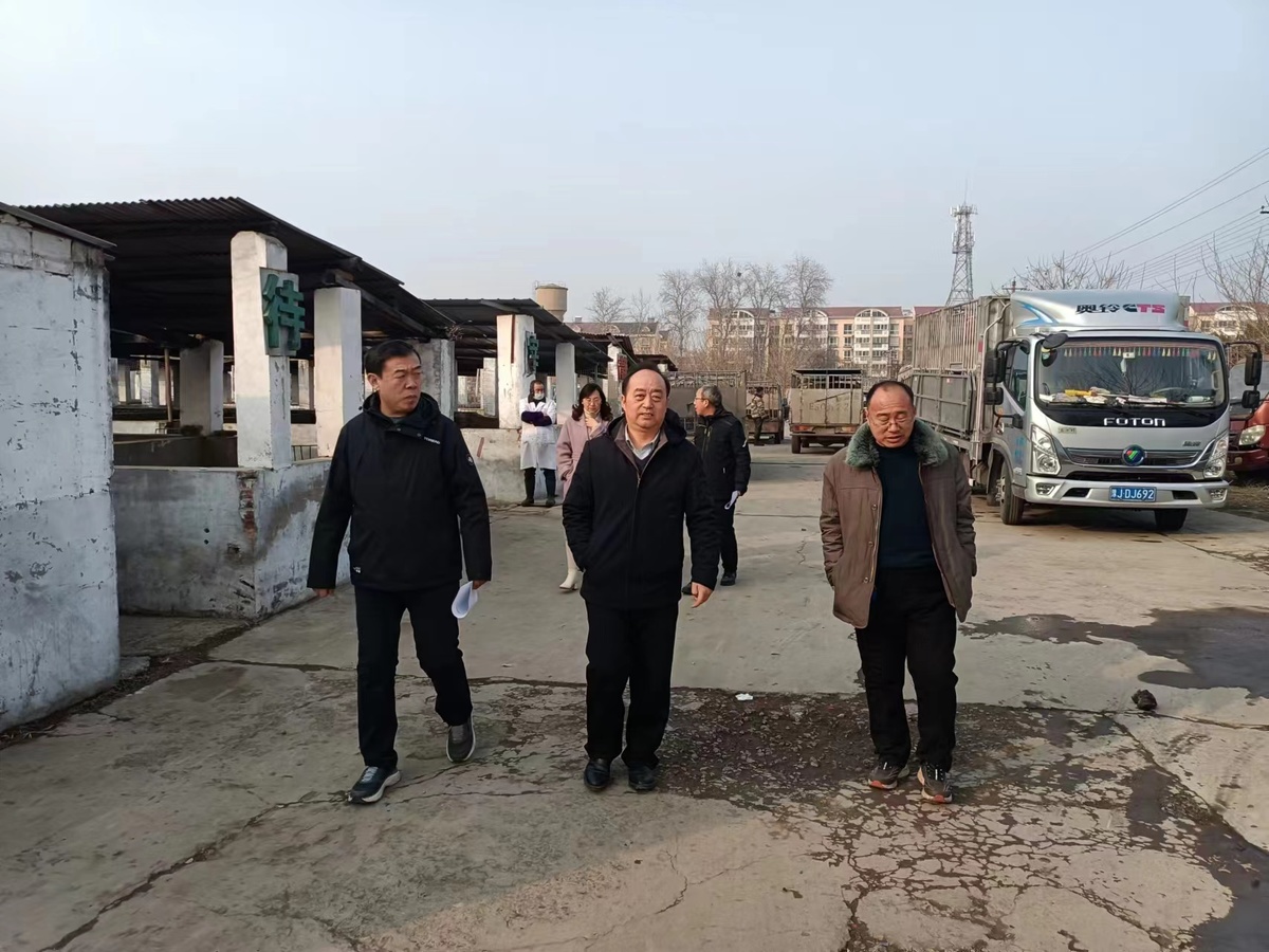 市农业农村局党组成员、总畜牧师耿玉林到文峰区对生猪屠宰专项行动检查