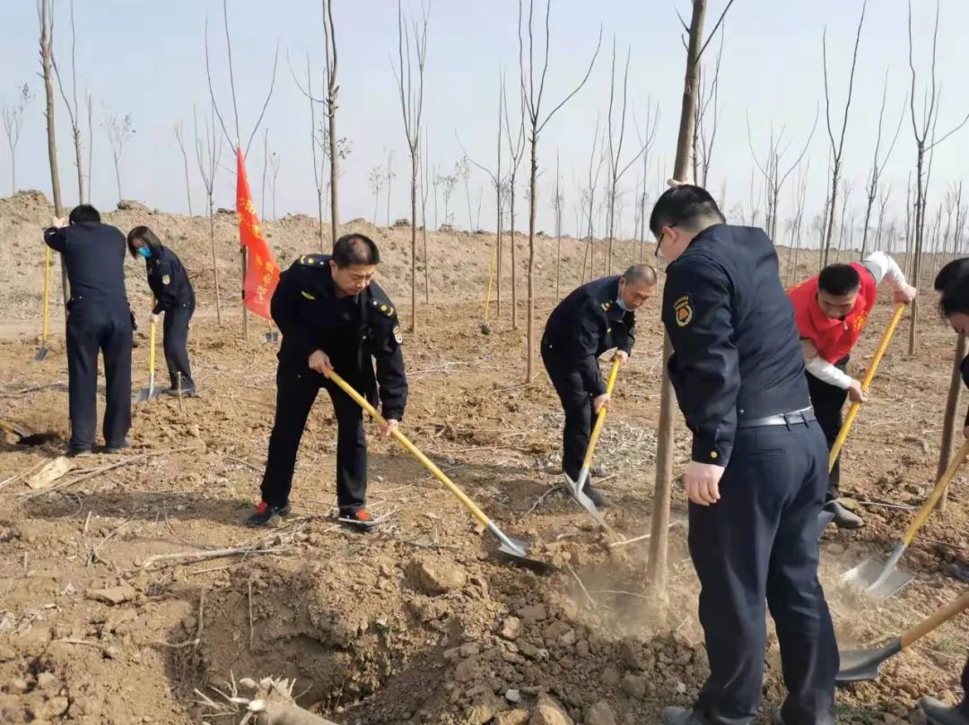 安阳城市管理局组织参加义务植树活动-雷火电竞官方网站(图2)