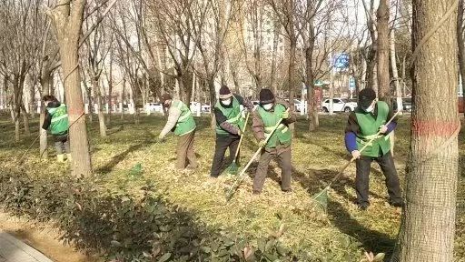安阳园林系统开展绿地大清洁助力安全整洁迎新春