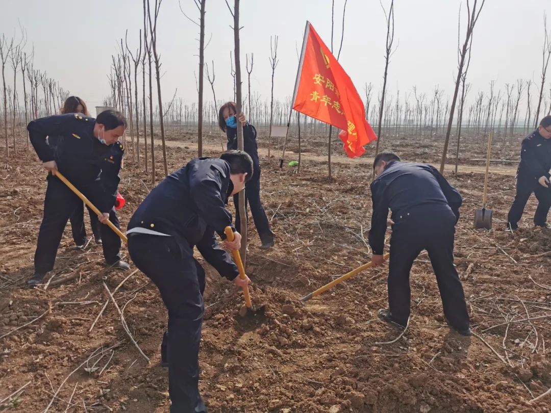 安阳城市管理局组织参加义务植树活动-雷火电竞官方网站(图4)