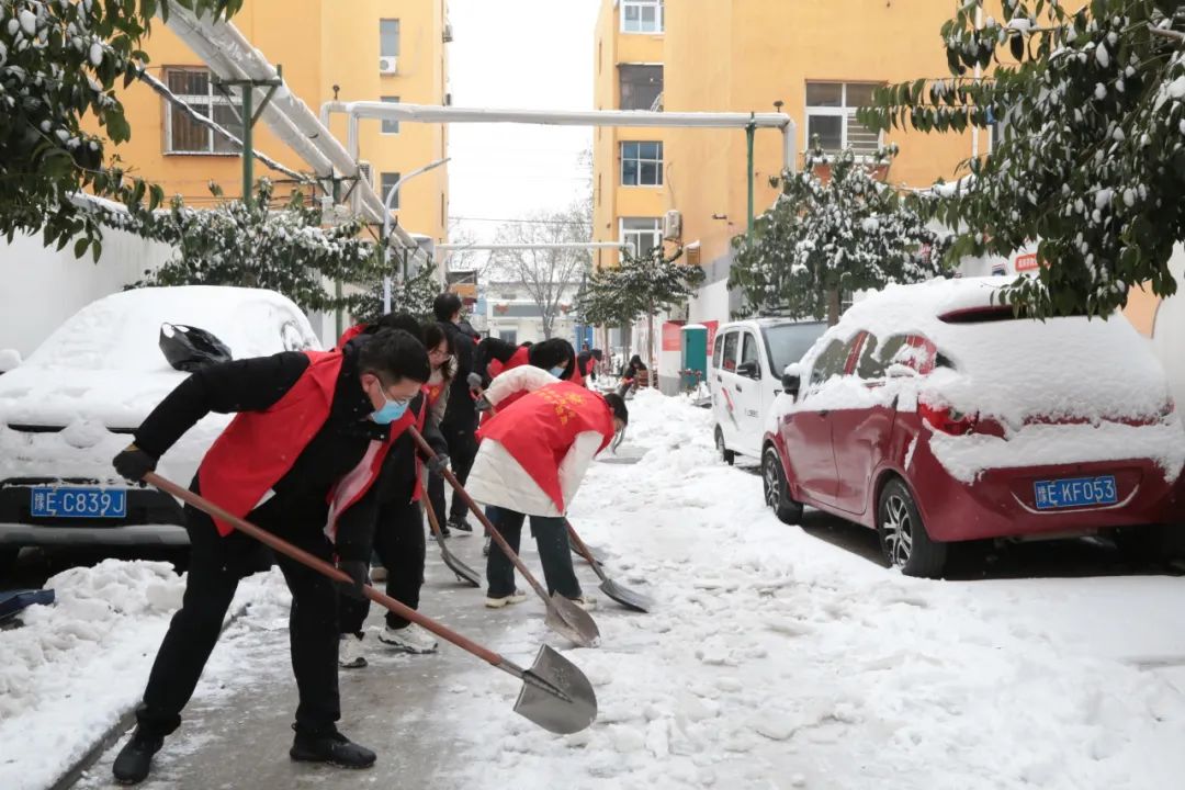  清冰除雪暖人心，党员服务展风采 市文物局积极开展扫雪除冰志愿服务活动