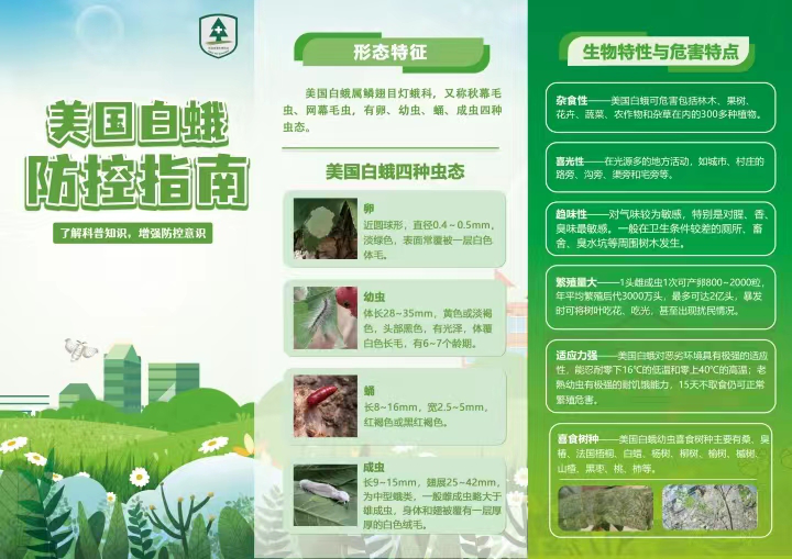 内黄县开展林业有害生物防灾减灾宣传