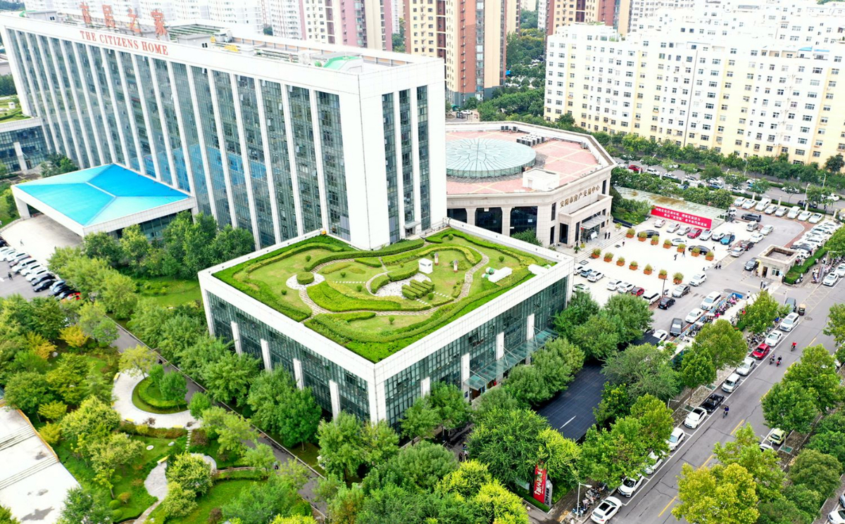 安阳城市管理局：全域增绿创建生态园林城市 城乡统筹助力安阳更加出彩