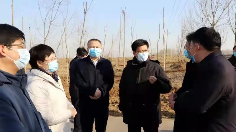 袁家健到安阳县（示范区）、汤阴县调研指导国土绿化工作