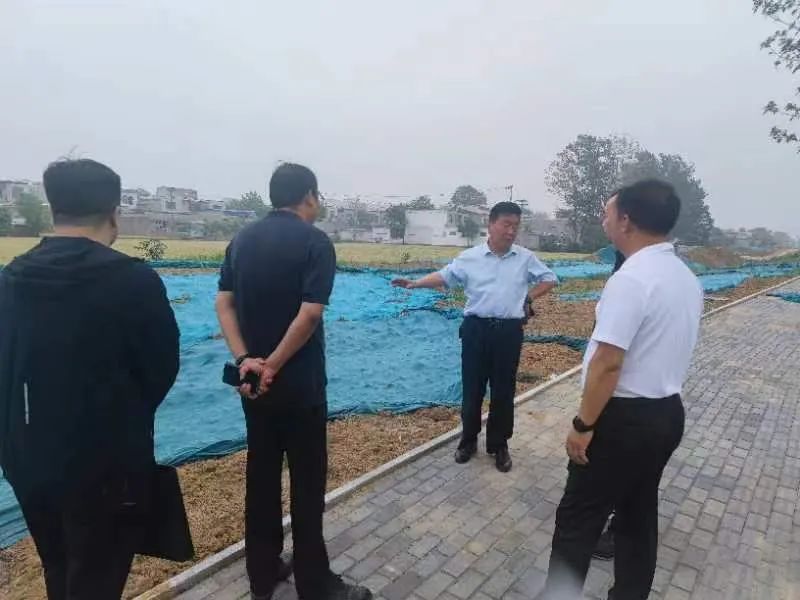 安阳城市管理局主要领导调研城市清洁机械化清扫大会战工作：九游会j9网站首页(图3)