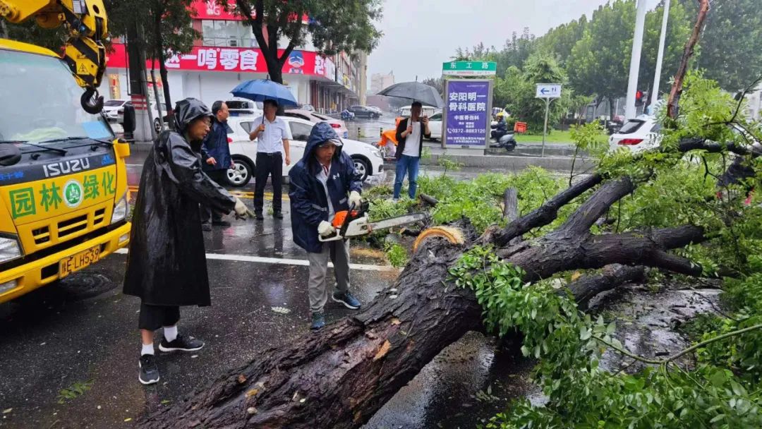 闻“汛”而动，守护安澜——安阳城市管理局迎战台风“杜苏芮”纪实-半岛官网App下载(图5)