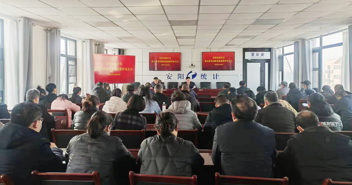 安阳市统计局 召开2022年度党支部书记述职评议大会