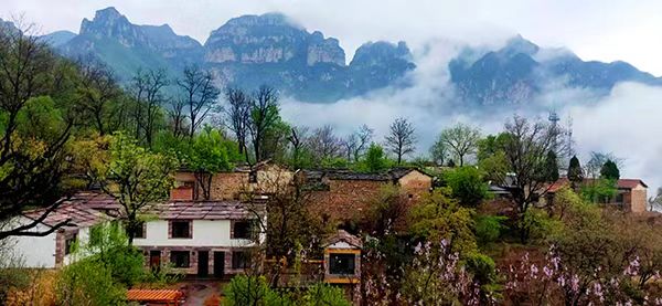 林州市：高质量民宿推动乡村旅游产业发展提速