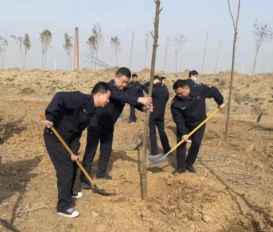 安阳城市管理局组织参加义务植树活动-雷火电竞官方网站(图3)