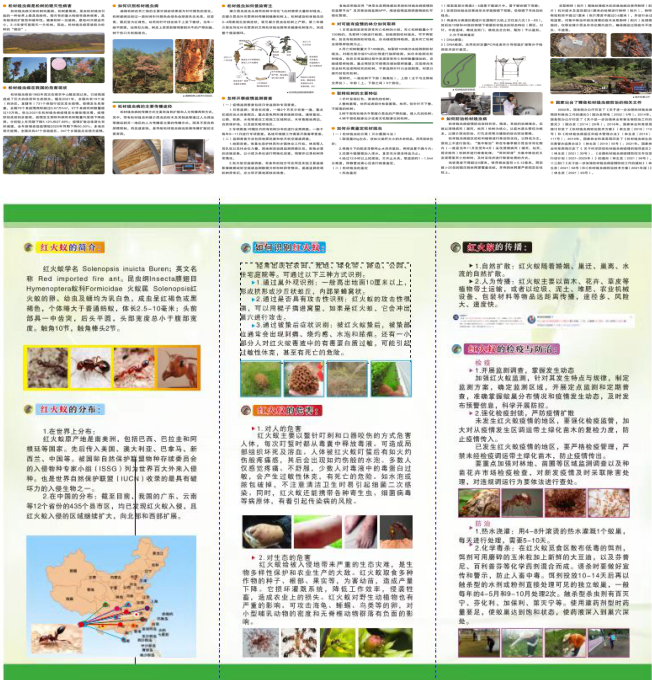 内黄县开展林业有害生物防灾减灾宣传
