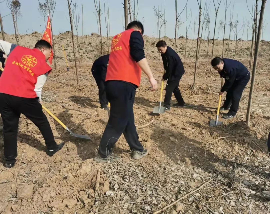 安阳城市管理局组织参加义务植树活动-雷火电竞官方网站(图5)